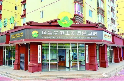 “森林生态银行”：绿了山林 富了口袋