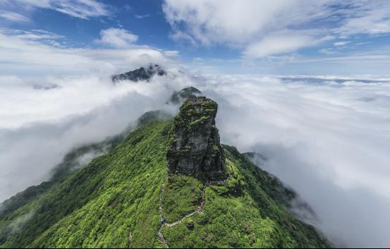 贵州铜仁梵净山的绿色致富路