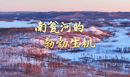 中国电视-《中国自然秘境》（第五季）
