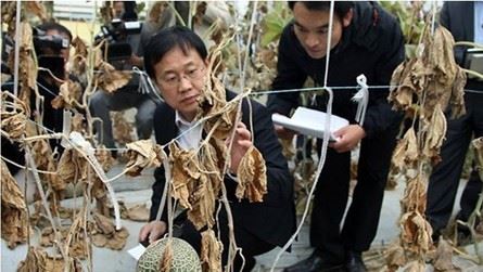 韩国毒气泄漏事故危害持续扩大 已致3000多人中毒(图)