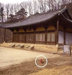 南大门噩梦已被遗忘 国宝无量寿殿无防火设施