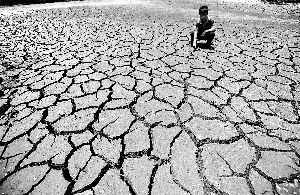 内地发布夜温排行榜：上海长沙最低气温超30℃