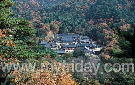 [庆南]三色枫叶自驾游“陕川海印寺”