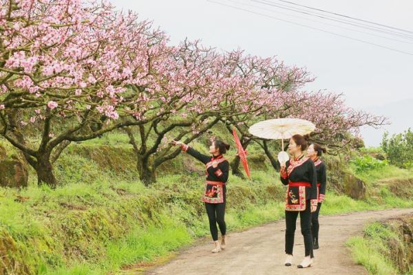 福安“桃花源”踏青