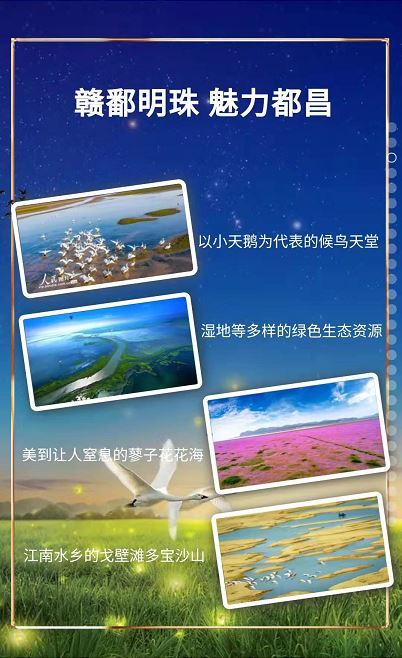 美丽的候鸟之乡迎来了许多马术名家